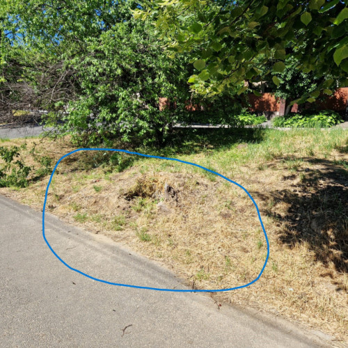 Avertisment pentru pietoni și bicicliști pe strada Brăilei