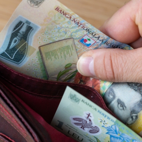 Validarea mandatului lui Nicușor Dan contribuie la aprecierea leului