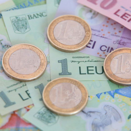 Banca Națională a reușit să tempereze deprecierea leului
