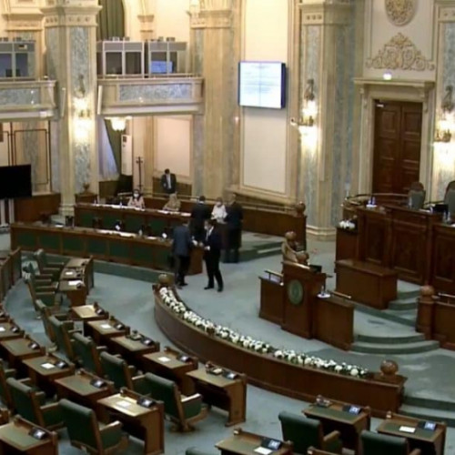 Doi senatori din Partidul Oamenilor Tineri își anunță demisia