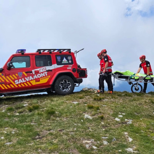 Turiști străini atacați de câini în Munții Rodnei. De frică, s-au refugiat într-o cabană. A fost solicitată intervenţia Salvamont