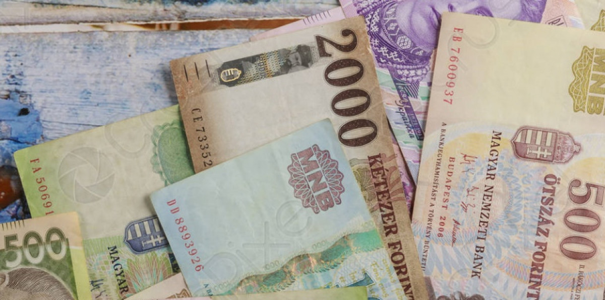 Leul se depreciază față de euro în contextul cererii ridicate de valută