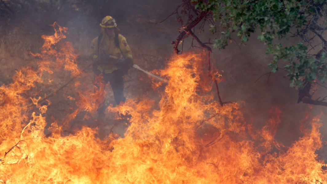 Incendiile din California pun în pericol sequoia, simbolul natural al regiunii
