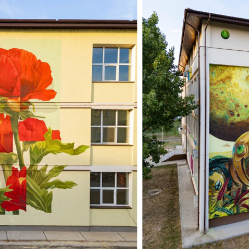 Bujorii și vulturul codalb colorează zidurile școlilor din Galați
