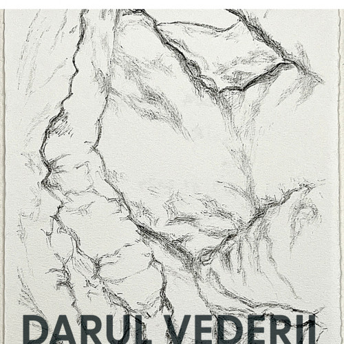 Expoziția „Darul vederii” aduce la Galați viziuni diverse asupra naturii