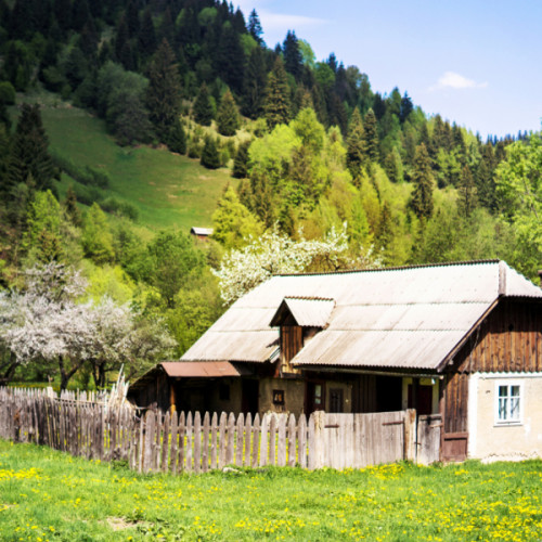 Românii își pot regulariza dreptul de proprietate asupra terenurilor aferente caselor construite înainte de 1990